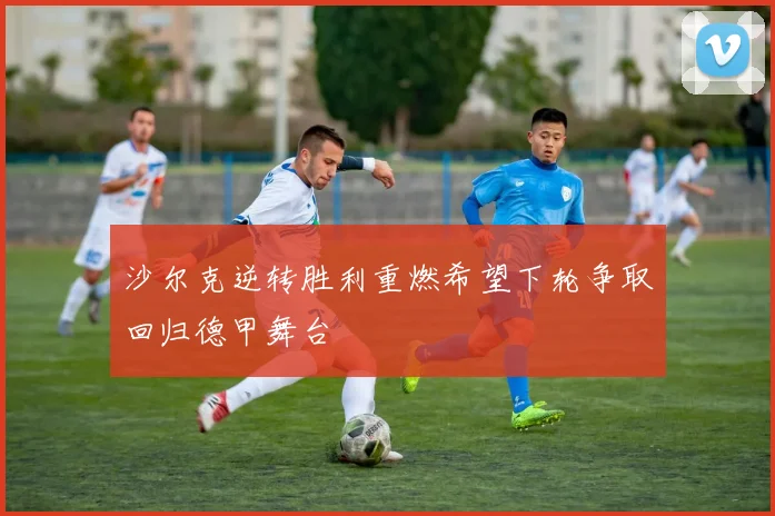 沙尔克逆转胜利重燃希望下轮争取回归德甲舞台